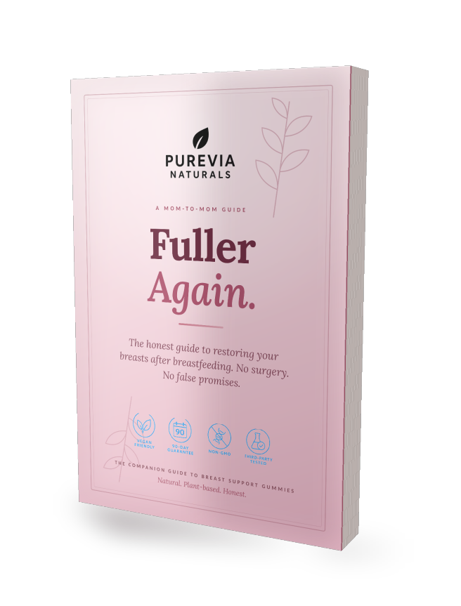 Fuller Again E-Book